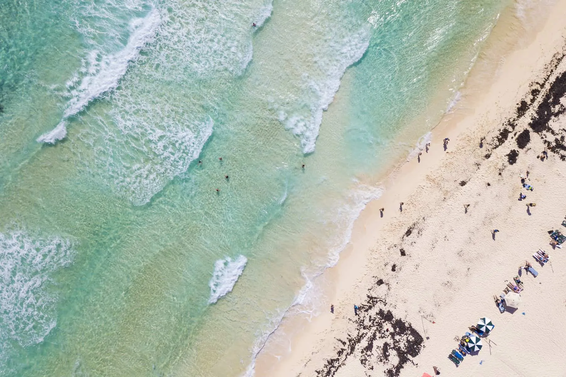 About 70 people in their 20s chartered a plane from Austin, Texas, to Mexico for spring break two weeks ago.