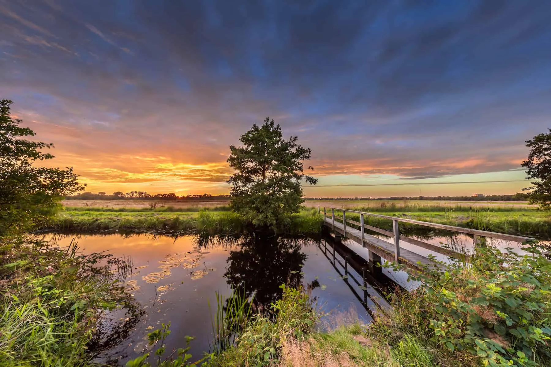Dennis Bonnen Sunday Reflection for March 16, 2020
